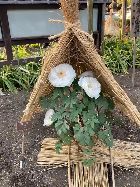 上野東照宮(東京都)