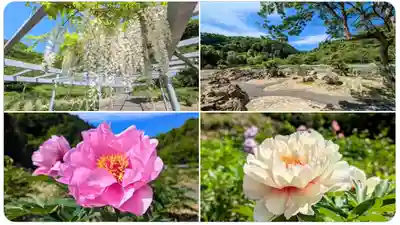 金蛇水神社(宮城県)