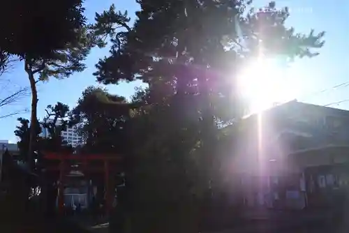 天沼八幡神社(東京都)
