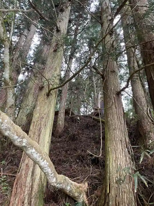 正一位白髭稲荷大明神(和歌山県)
