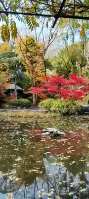 熱田神宮(愛知県)