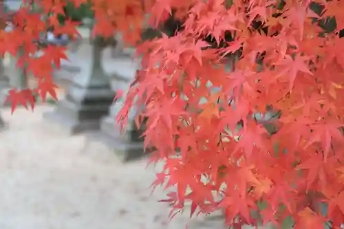 今宮神社の自然