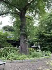 法華寺(神奈川県)