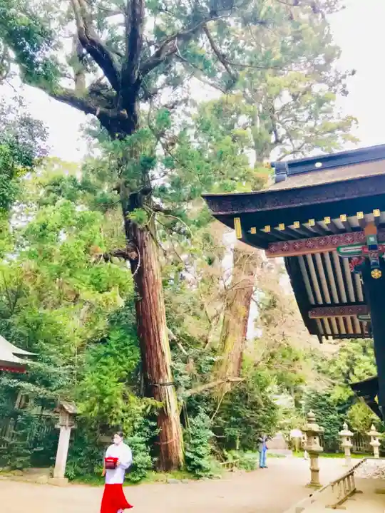 香取神宮(千葉県)