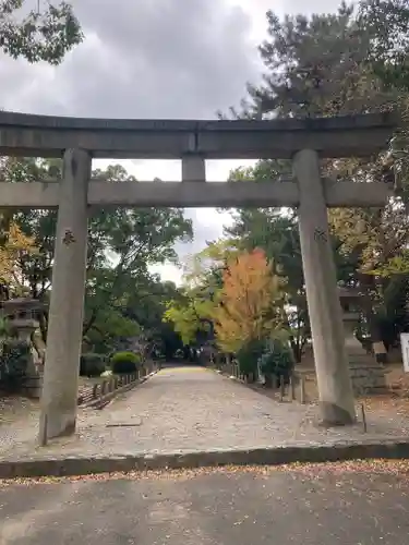 和歌山縣護國神社の鳥居