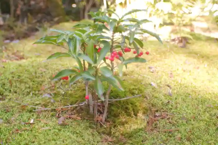 赤山禅院(京都府)