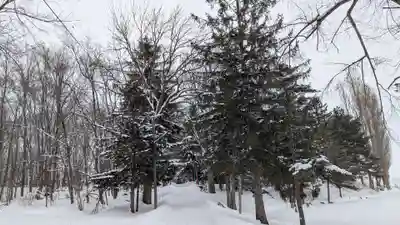 神楽神社の景色