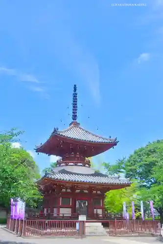 喜多院(埼玉県)