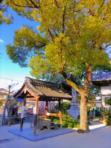 法雲寺の手水舎