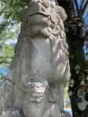 北東本宮小室浅間神社の狛犬