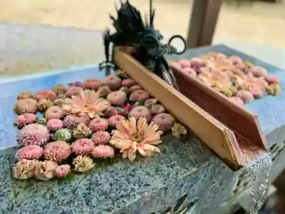 川越八幡宮(埼玉県)