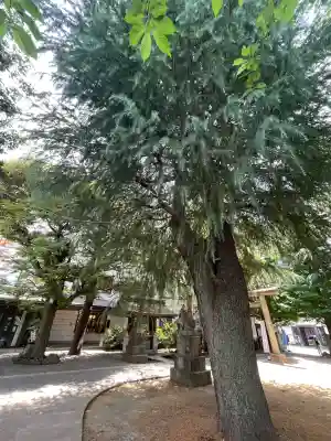 青山熊野神社(東京都)