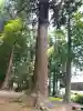 神明神社(総社大神宮)(福井県)