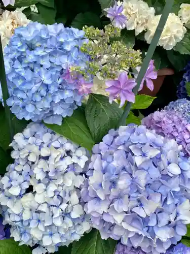 六孫王神社の自然
