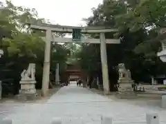 大山祇神社の鳥居