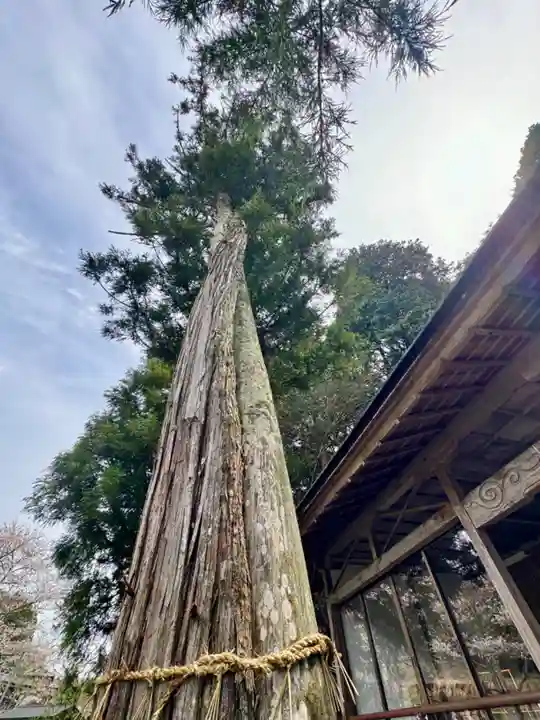 手力神社(三重県)