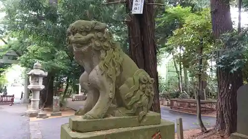 岩槻久伊豆神社の狛犬