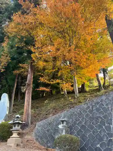 熊野神社の自然
