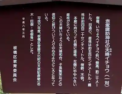 諏訪神社の御朱印