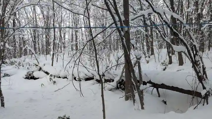 神楽神社の自然