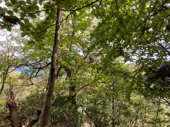 武蔵御嶽神社の自然