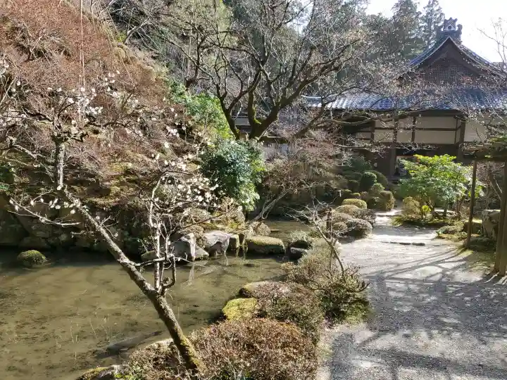 金剛輪寺の{uncategorized: "未分類", other: "その他", undefined: "問題あり", building: "その他建物", grave: "お墓", sacred_gate: "鳥居", guardian: "狛犬", statue: "像", buddha: "仏像", history: "歴史", nature: "自然", garden: "庭園", animal: "動物", pagoda: "塔", temizu: "手水舎", mountain_gate: "山門・神門", sanctuary: "本殿・本堂", subordinate: "末社・摂社", art: "芸術", scenery: "景色", jizo: "地蔵", ema: "絵馬", goshuin: "御朱印", omikuji: "おみくじ", items: "授与品その他", amulet: "お守り", goshuincho: "御朱印帳", eats: "食事", festival: "お祭り", votive_dance: "神楽", shichigosan: "七五三参", wedding: "結婚式", experience: "体験その他", initially: "初詣", around: "周辺", anti_infection: "感染症対策"}