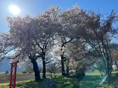 天神宮(伝河原氏屋敷跡)の自然
