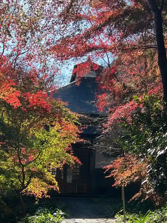 慈光寺(埼玉県)