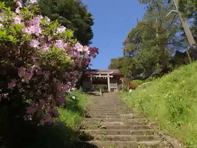 忌部神社のその他建物