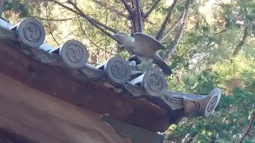 小竹八幡神社(和歌山県)