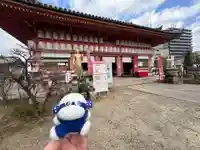 愛染堂勝鬘院の初詣