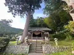 若宮神社(福井県)