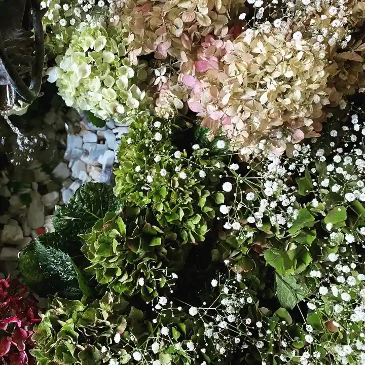 札幌諏訪神社の自然