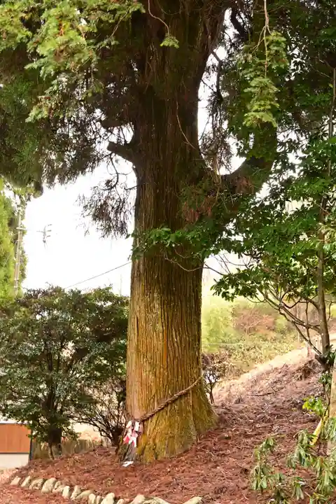 祖母嶽神社(宮崎県)