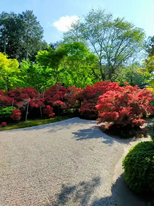 曼殊院門跡(京都府)
