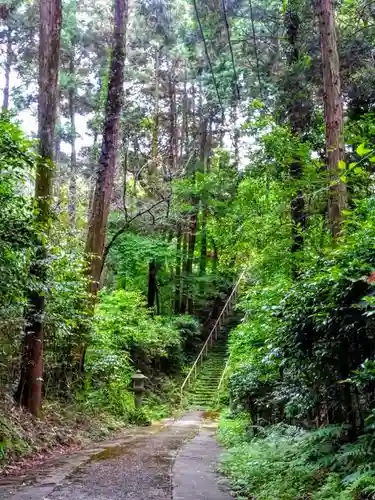 箭比神社の建物その他