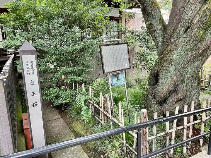 金王八幡宮(東京都)