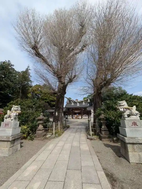 亀ケ池八幡宮(神奈川県)