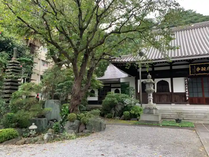 成願寺の本殿・本堂