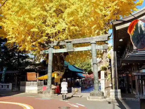 湯島天満宮の鳥居