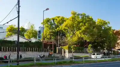 堀越神社(大阪府)