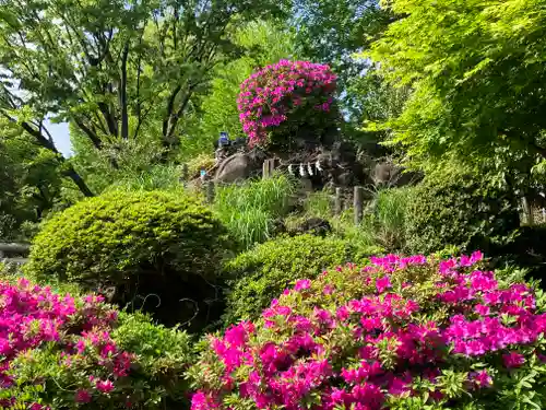 鳩森八幡神社の末社・摂社