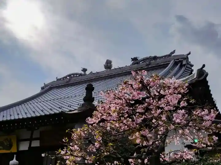 長善寺(東京都)