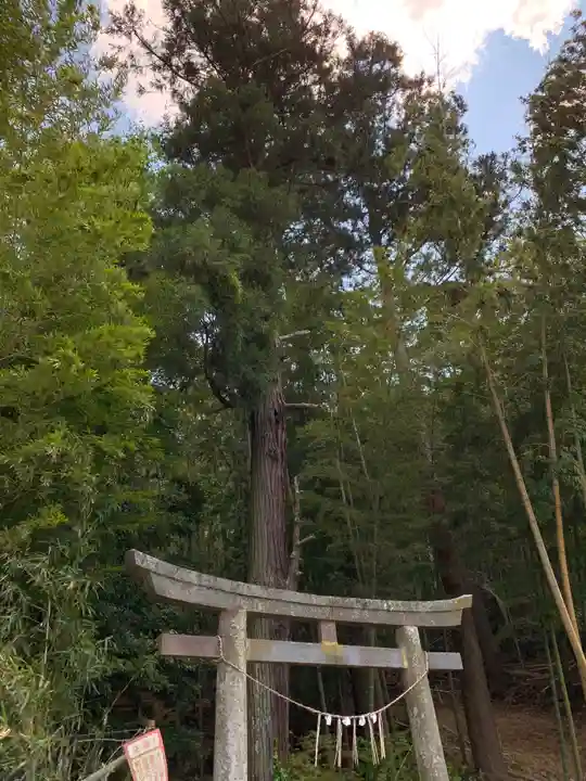雷神社の鳥居