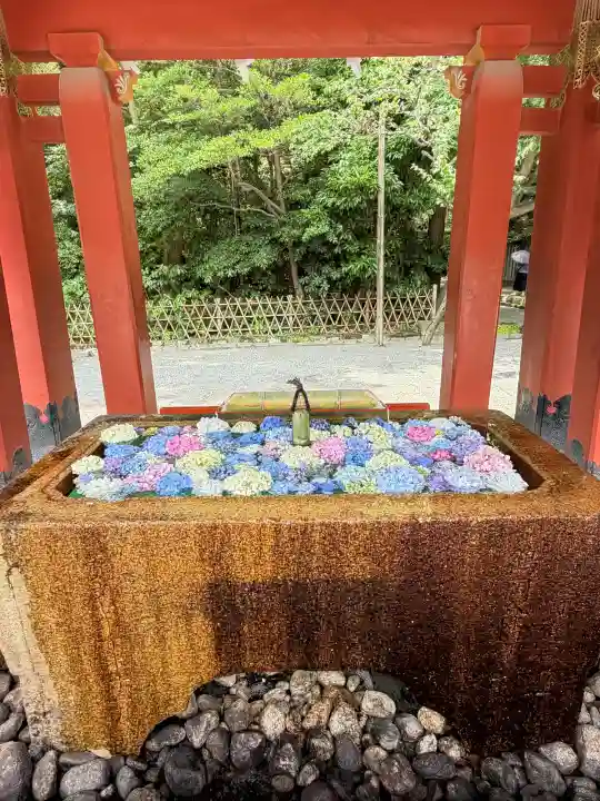 鶴岡八幡宮(神奈川県)