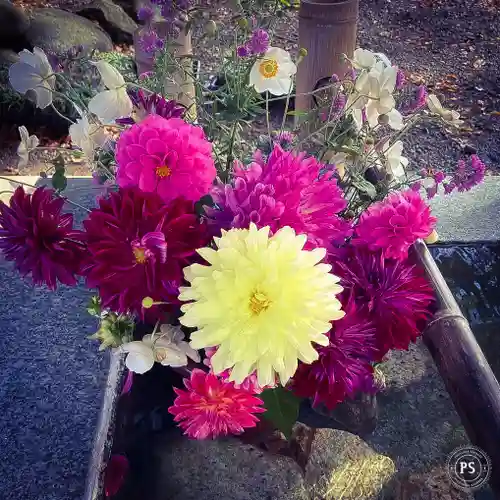高司神社〜むすびの神の鎮まる社〜の手水舎