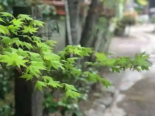 木舟山　順教寺の自然
