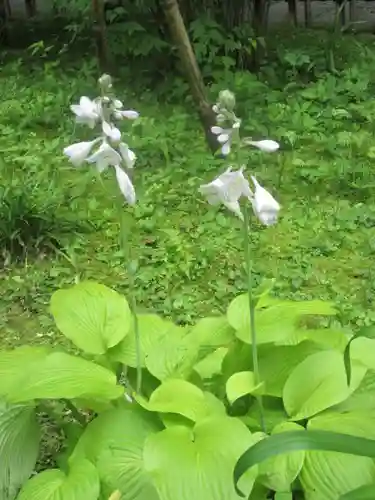 安國論寺（安国論寺）の庭園