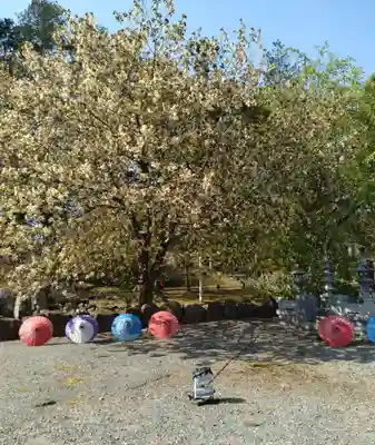 萬松山大雄寺(宮城県)