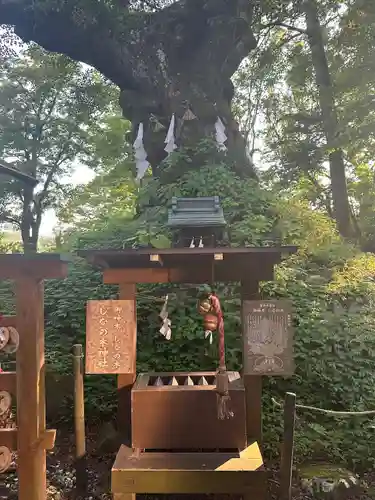 熊野皇大神社(長野県)